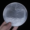 Natural Selenite Charging Plate PW-WG19174-04-1