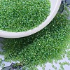 MIYUKI Round Rocailles Beads SEED-G007-RR0259-1