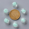 Transparent Acrylic Beads TACR-S152-04A-SS2111-3