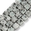 Natural Sesame Jasper Beads Strands G-D338-A20-2