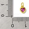925 Sterling Silver Charms STER-M0120-02A-G-3
