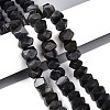 Natural Larvikite Beads Strands G-N327-05-28-1