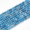 Natural Apatite Beads Strands G-T064-17-3mm-1