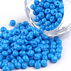 Baking Paint Glass Seed Beads SEED-S003-K17-1