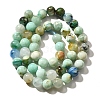 Natural Chrysocolla Beads Strands G-F784-A01-03-3