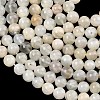 Natural White Moonstone Beads Strands G-C277-A01-8mm-4