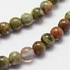 Natural Rhyolite Jasper Beads Strands G-N0183-01-3mm-3