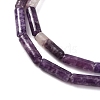 Natural Lepidolite/Purple Mica Stone Beads Strands G-NH0001-E04-01-4