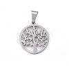 Non-Tarnish 304 Stainless Steel Pendants STAS-P209-14P-2