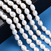 Natural Cultured Freshwater Pearl Beads Strands PEAR-N012-05U-6