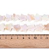 Natural Freshwater Shell Beads Strands SSHEL-N040-18-4