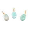 Natural Amazonite Pendants PALLOY-JF00606-1