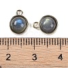 Natural Mixed Stone Pendants G-K372-03G-4