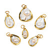 Natural White Shell Pendants SHEL-S278-075-2