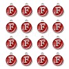 Platinum Plated Alloy Enamel Charms LS-ENAM-S118-03F-P-2