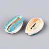 Natural Cowrie Shell Beads SSHEL-N034-35-04-2