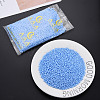 6/0 Glass Seed Beads SEED-T005-14-B20-2