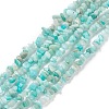 Natural Exotic Amazonite Chips Beads Strands F070-1-1