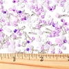 2 Sets Glass Seed Beads DIY-FS0008-27D-5