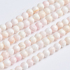 Natural Pink Shell Beads Strands LS-SSHEL-L016-18C-1