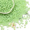 Baking Paint Glass Seed Beads SEED-L011-09A-18-1