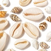 4 Style Natural Mixed Cowrie Shell Beads X-BSHE-FS0001-01-3