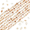 2 Strands Natural Freshwater Shell Beads Strands G-BBC0001-43B-1