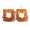 Transparent  Resin Pendants CRES-S360-05-B03-2