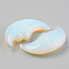 Opalite Beads G-T132-019-3