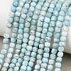 Natural Larimar Beads Strands G-F803-C01-01A-1