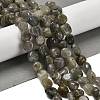 Natural Labradorite Beads Strands G-P497-01E-47-2