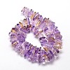 Natural Ametrine Chip Beads Strands X-G-E271-71-2