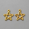 Zinc Alloy Pendants FIND-WH0139-508G-1
