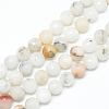 Natural Agate Bead Strands G-R346-12mm-26-1