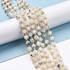 Natural Rainbow Moonstone Beads Strands G-P463-15-2