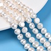 Natural Cultured Freshwater Pearl Beads Strands PEAR-N014-08I-01-1