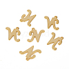 201 Stainless Steel Pendants STAS-L244-04N-G-1