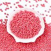 Baking Painted Glass Seed Beads SEED-C004-01N-1