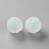 Transparent Acrylic Beads TACR-S152-07C-SS2111-2