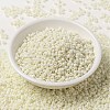 MIYUKI Round Rocailles Beads SEED-G008-RR2021-2