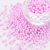 8/0 Opaque Glass Seed Beads X1-SEED-S048-N-004-1