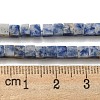 Natural Blue Spot Jasper Beads Strands G-C129-A03-01-5