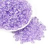 Transparent Colours Glass Seed Beads SEED-Q042-01A-A07-1