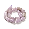 Natural Kunzite Beads Strands G-N327-06-36-3