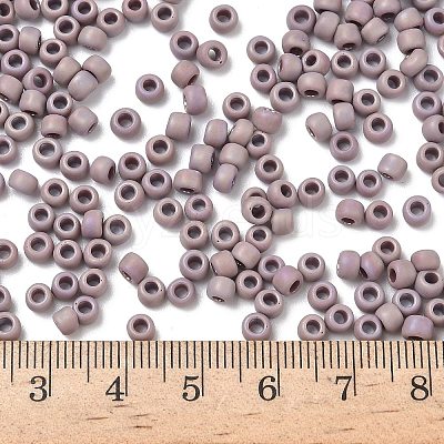 TOHO 6/0 Round Beads X-SEED-TR06-0412F-1
