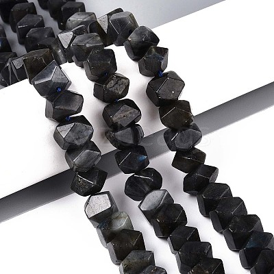 Natural Larvikite Beads Strands G-N327-05-28-1
