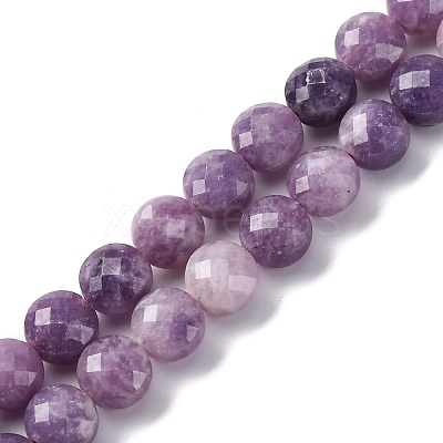 Natural Lepidolite/Purple Mica Stone Beads Strands G-C179-A38-03-1