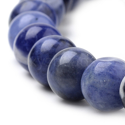 Natural South Africa Sodalite Beads Strands G-S259-35-10mm-1