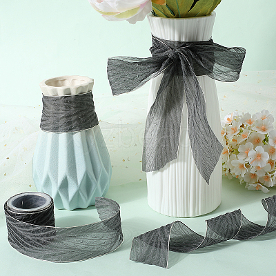 Polyester Pleated Ribbons SRIB-WH20020-005E-1