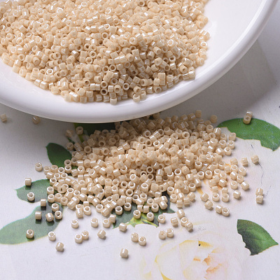 MIYUKI Delica Beads X-SEED-J020-DB0205-1